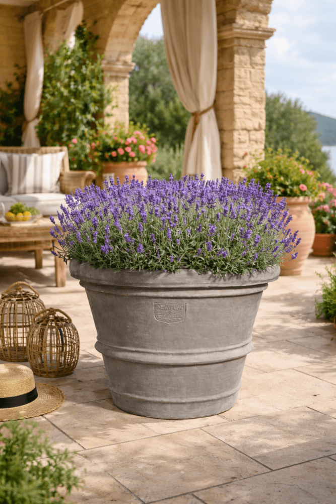 Pot de fleurs conique gris en terracotta d’Impruneta – Artisanat toscan haut de gamme pour plantes et jardin